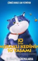 Meraklı Kedinin 10 Yaşamı