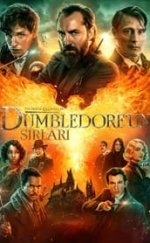 Fantastik Canavarlar Dumbledore’un Sırları