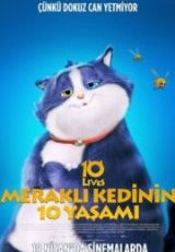 Meraklı Kedinin 10 Yaşamı